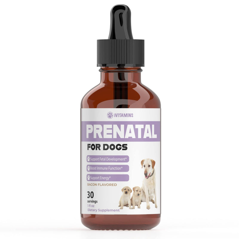 Dog Prenatal Vitamins | Prenatal Vitamins for Dogs | Includes Vitamin B Complex & Vitamin C | Dog Essentials | Whelping Supplies | Prenatal Dog Vitamins | Prenatal for Dogs | 1 Pack: 30 Servings - PawsPlanet Australia