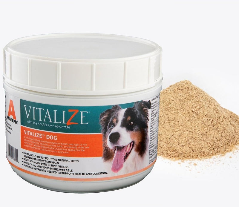 Vitalize Dog Digestive Health Powder - Relief for Constipation, Vomiting & Nausea, Skin & Coat Supplement- Multivitamin Powder with Omega 6, 3 & Biotin & Dog Prenatal Supplement (1 Pound) - PawsPlanet Australia