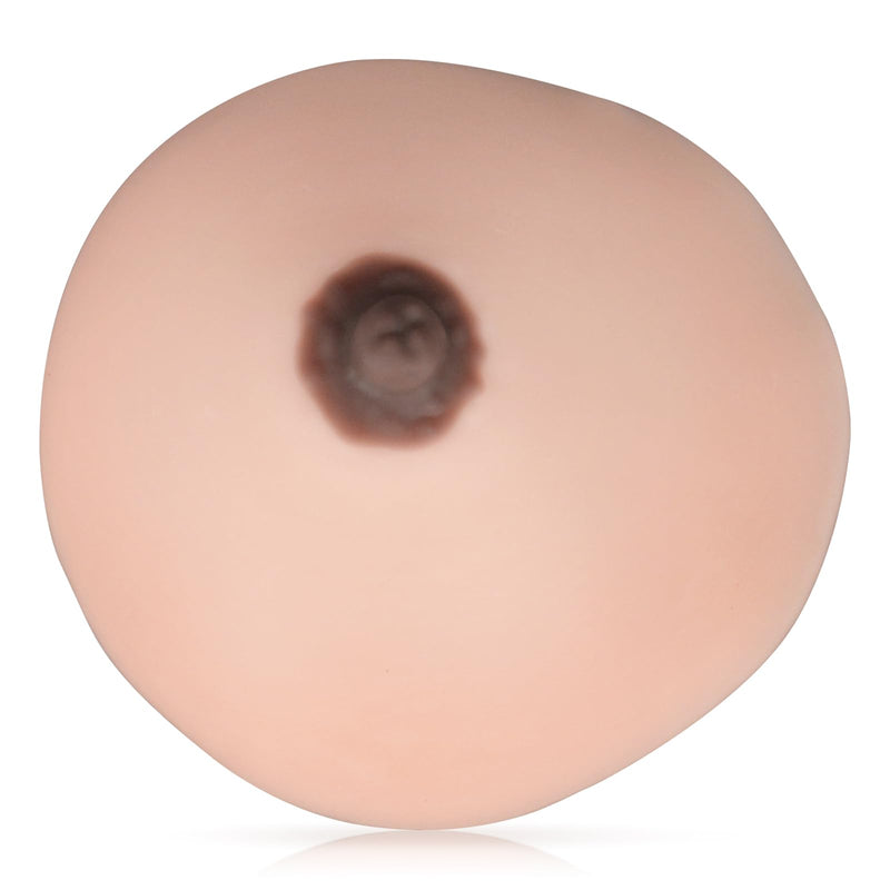 SimCoach Lactation Breast Model, Artificial Breast for Breastfeeding, Silicone Breast Model for Education, Lactating Teaching Tool, Nursing Training, White