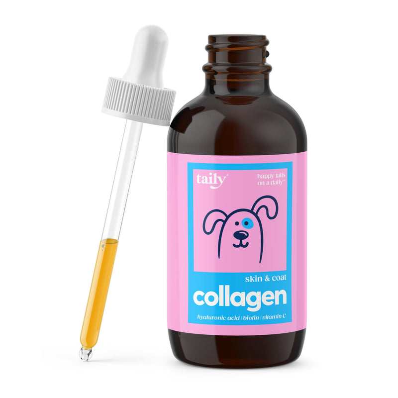 Taily Liquid Collagen for Dogs Skin and Coat Supplement, Cats | Taily Liquid Premium Grass-fed Collagen | Itch Relief for Dogs with Allergies, Biotin, Vitamin C and Hyaluronic Acid | Made in USA - NewNest Australia