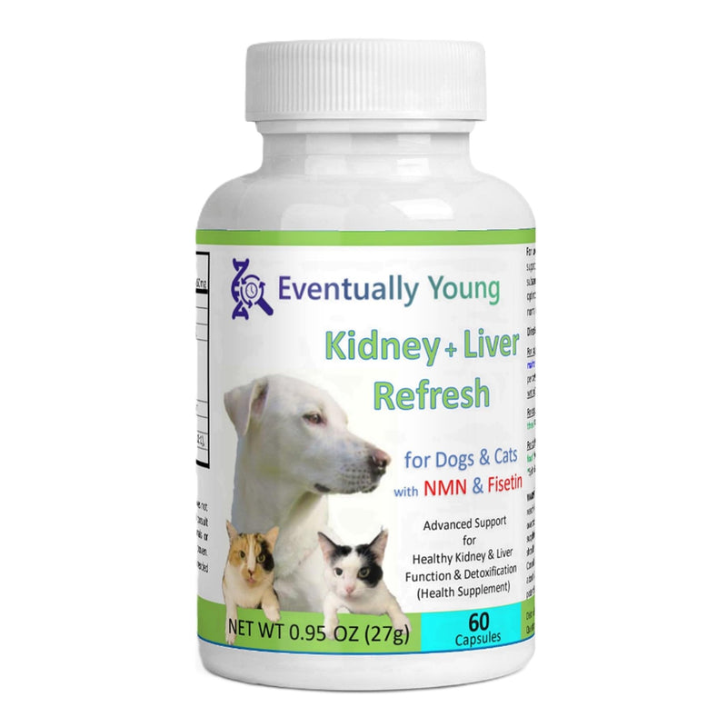12-in-1 Kidney Support for Dog & Cat with NMN & Fisetin - Super Phosphate Binder Kidney and Liver Supplement for Feline, Canine Healthy Aging & Longevity (60 Capsules) 60 Capsules - PawsPlanet Australia