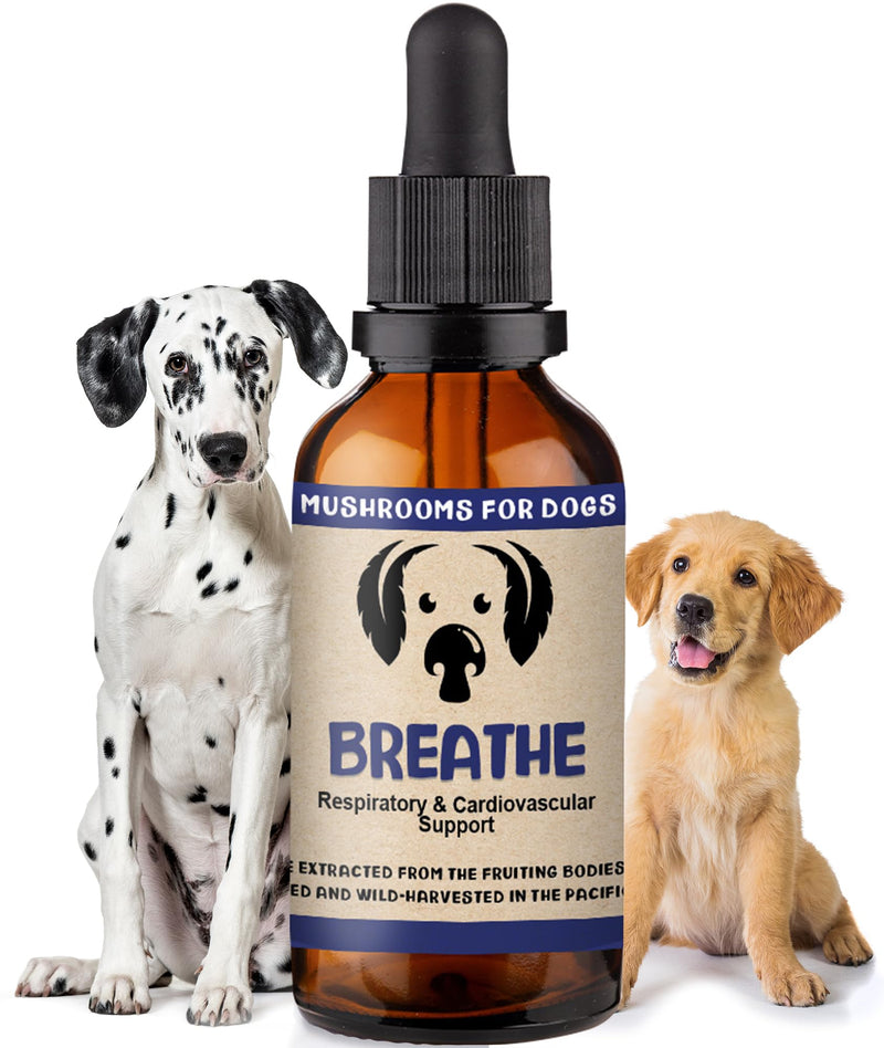 MycoDog Breathe Mushroom Extract & Adaptogen Tincture for Canines - Mushroom & Ashwagandha Supplements for Dogs with Breathing Challenges - Reishi Mushroom, Chaga, Cordyceps Mushroom & Artist Conk - PawsPlanet Australia