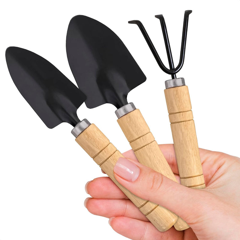 Mini Garden Tools - 3Pcs Indoor Plant Tools Set Indoor Gardening Tools Small Garden Shovel Mni Rake Small Gardening Tools Set Hand Rake Gardening Spade Gardening Supplies Indoor Garden Trowels 3 Pcs
