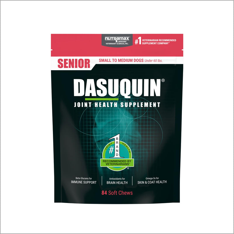 Nutramax Dasuquin Joint Health Supplement for Small to Medium Senior Dogs – for Immune Support, Skin & Coat Health, and Brain Health, 84 Soft Chews - PawsPlanet Australia