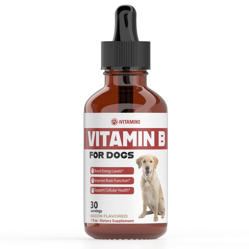 Vitamin B for Dogs | Vitamin B Complex for Dogs | Vitamin B12 for Dogs | Dog Vitamins | B12 Vitamins for Dogs | Vitamin B Dog Supplements | B Complex for Dogs | B12 for Dogs | Do1 fl oz: Bacon Flavor - PawsPlanet Australia