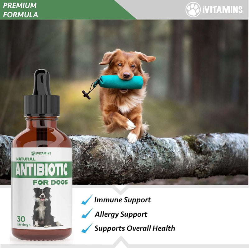 Natural Antibiotics for Dogs | 60ML Dog Antibiotic Support Dog Itchy Skin Relief | Dog Allergy Relief | Dog Immune Support | Dog Antibiotics for Skin Infection, UTI, Yeast Infection | 2 fl oz, Bacon - PawsPlanet Australia