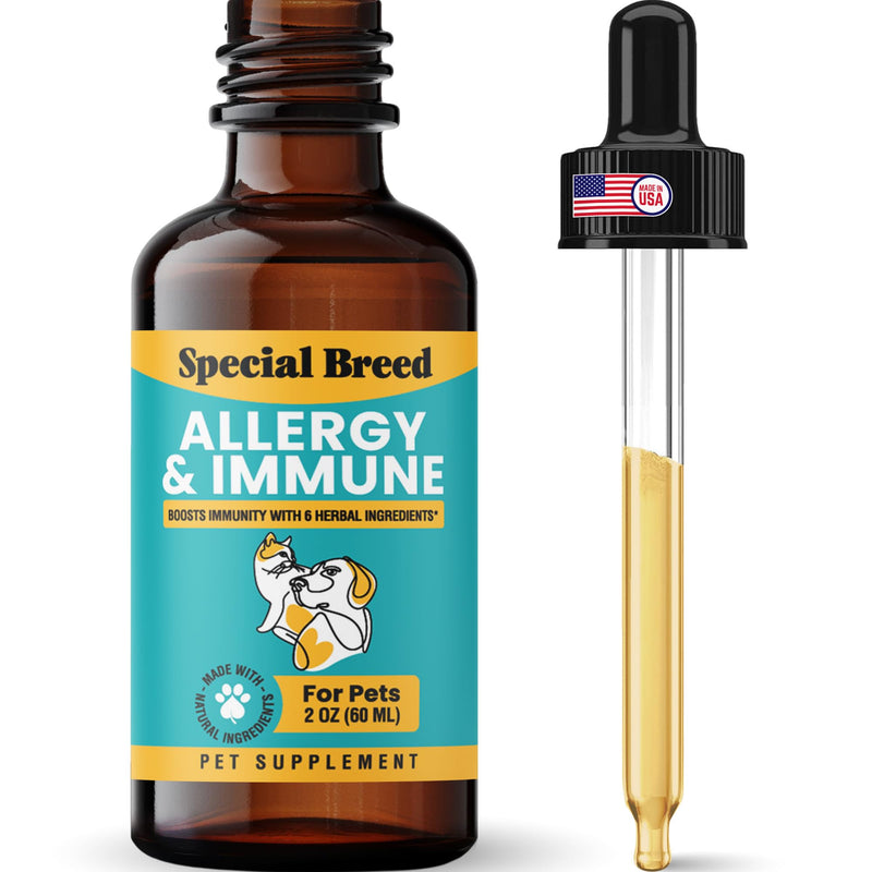 Allergy & Immune with Elderberry, Allergy Relief for Cats and Dogs, Anti Itch Treatment, Relief for Pet Allergies, Immune Support for Cat or Dog, 2 oz 1 Count (Pack of 1) - PawsPlanet Australia