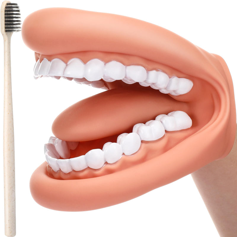 Patelai 2 Pcs Mouth Puppet with Tongue Teeth Mouth Hand Puppet Dental Mouth Model and Toothbrushes for Boys Girls Educational Tool Speech Therapy
