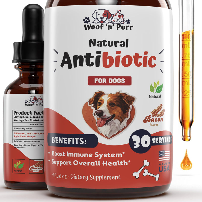Natural Dog Antibiotics - Antibiotics for Dogs - Supports Immune Health, Itch Relief, Allergy Relief & More - Antibiotic for Dogs - Itch Relief for Dogs - Yeast Infection Treatment for Dogs - 1 oz - PawsPlanet Australia