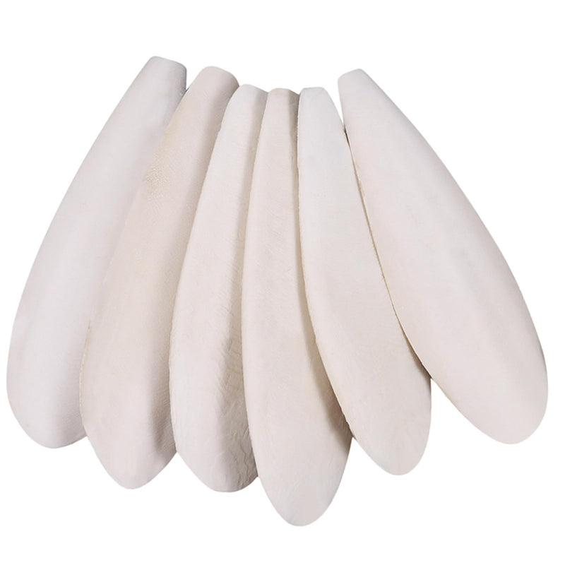 6 Pcs Natural Cuttlebone Parakeets Pure Cuttlebone Calcium Stone for Tortoise Parakeets Canaries Cockatiels Turtles Cockatiel 9.5-10.4cm/3.7-4 inch - PawsPlanet Australia