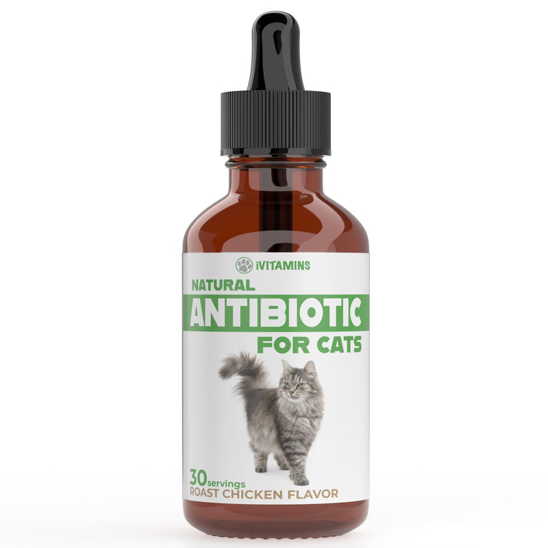 Natural Alternative Cat Antibiotic | Cat Antibiotics | Antibiotics for Cats | Antibiotic for Cats | Cat Antibiotics for UTI | Cat UTI | Cat UTI Treatment | Cat UTI Antibiotics | 1 fl oz (1)