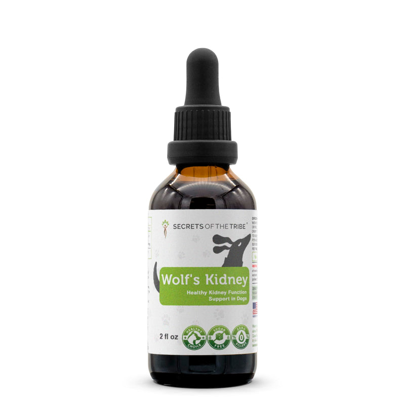 Wolf's Kidney | Natural Herbal Dietary Supplement | Healthy Kidney Function Support in Dogs | Alcohol-Free Extract, Rehmannia, Ginkgo, Echinacea, Marshmallow, Couch Grass, Hawthorn, Uva Ursi 2 oz - PawsPlanet Australia