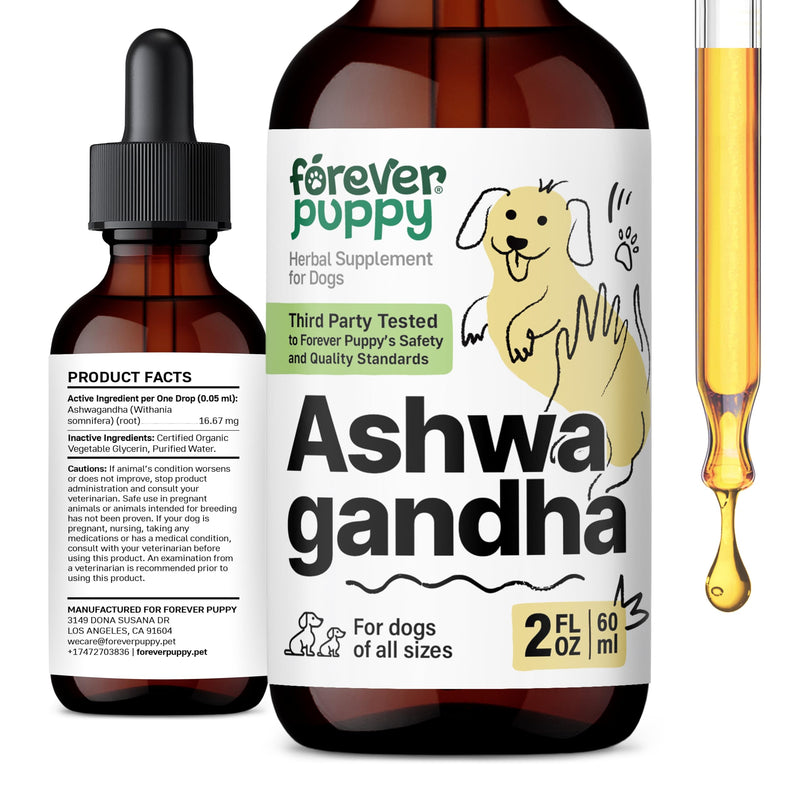 Ashwagandha Drops for Dogs - Composure & Relaxation Supplement w/Ashwagandha Root - Liquid Alternative to Dog Calming Chews - Dog Food Supplements for Calming Vibes - 2 oz
