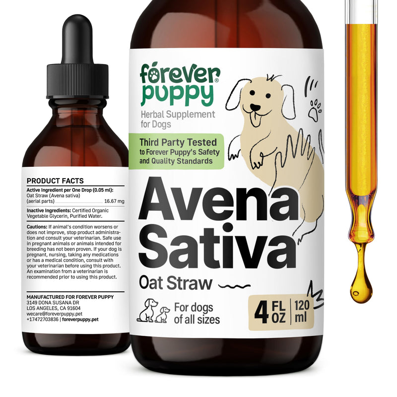 Avena Sativa Extract for Dogs - Oat Straw Herbal Drops for Calm & Relaxation Support - Pet Composure & Calming Care for Dogs w/Liquid Mood Support Supplement - 4 oz 4 fl oz - PawsPlanet Australia