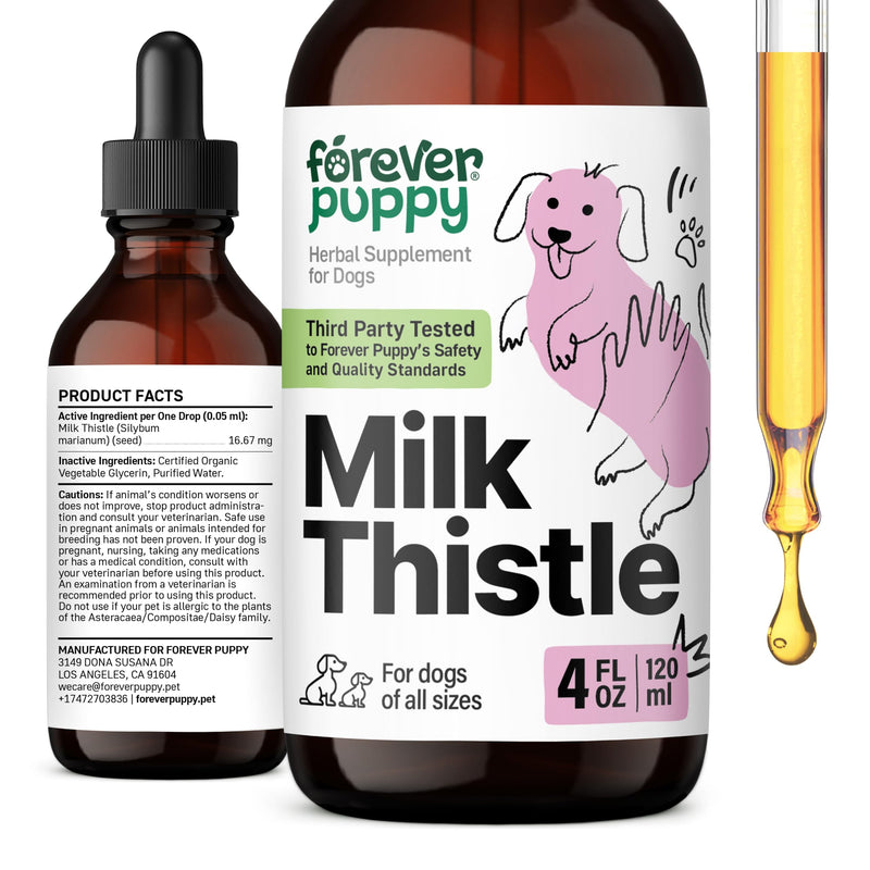 Milk Thistle for Dogs - Liver Supplements for Dogs w/Milk Thistle Liquid Extract - Herbal Liver Support Drops for Large Medium Small Breed - Silymarin Vitamins and Supplements - 4 oz 4 fl oz - PawsPlanet Australia