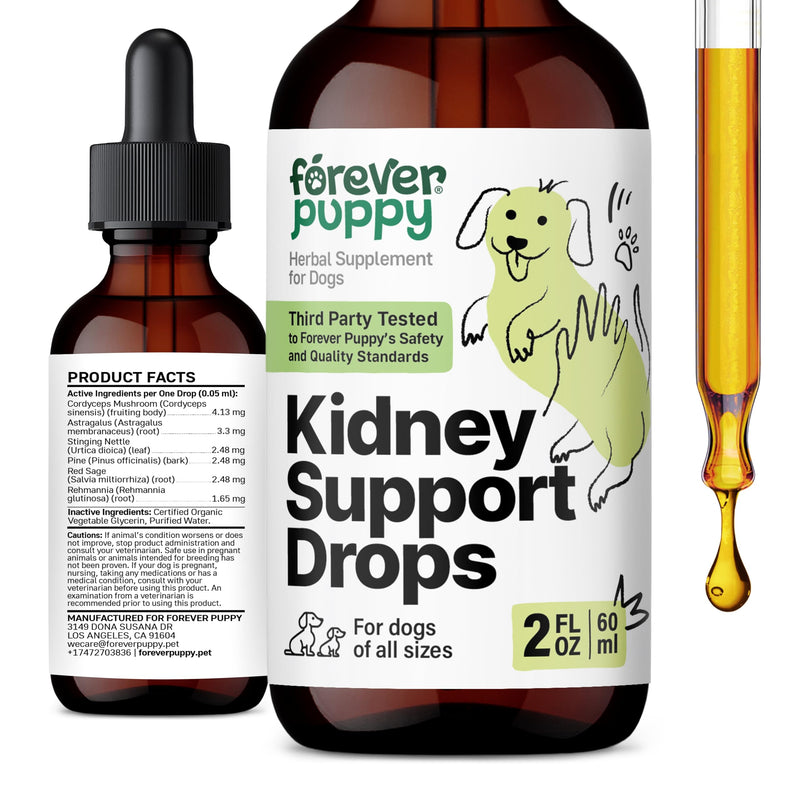 Kidney Support Drops for Dogs - Natural Kidney Care w/Cordyceps Mushroom & Stinging Nettle Leaf - Dog Food Supplements for Dogs' Kidney Health - Liquid Pet Vitamins and Supplements - 2 oz - NewNest Australia