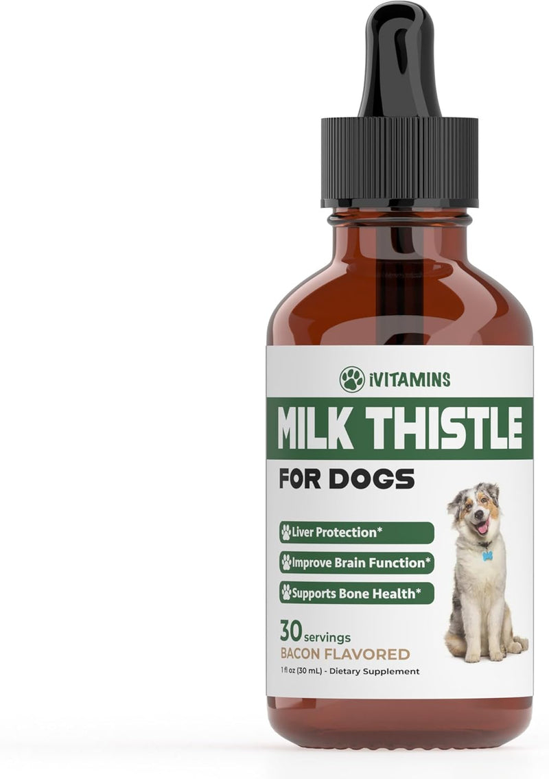 Milk Thistle for Dogs - Supports Liver and Kidney Health - Milk Thistle for Dogs Liver Support - Dog Milk Thistle - Dog Liver Support - Dog Liver Supplement - Milk Thistle Supplement for Dogs - 1 oz
