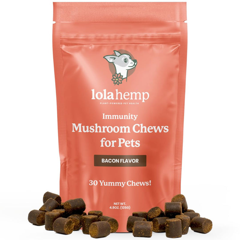 Lolahemp Mushroom Supplement for Dogs - Tasty Chews with Organic Mushroom Complex for Immune System & Cognitive Health - Turkey Tail, Reishi, Shiitake, Maitake & Lion's Mane - PawsPlanet Australia