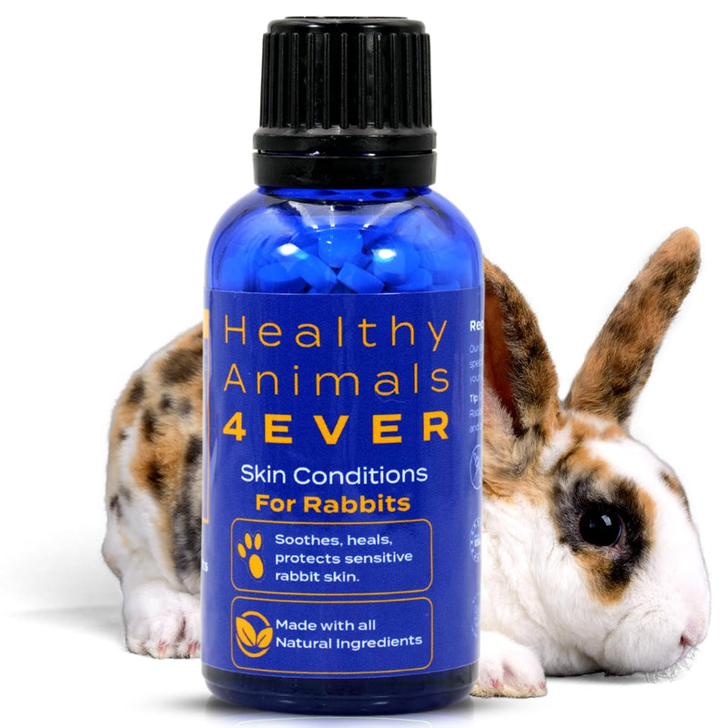 Healthy Animals 4Ever All-Natural Rabbit Skin Conditions Treatment | Homeopathic Rabbit Tablets for Itch-Free Comfort | 300 Count - PawsPlanet Australia