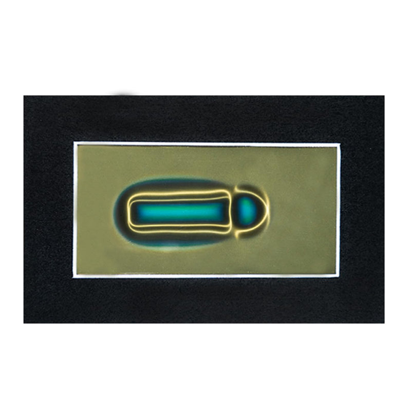 2 x 4 Inch Magnetic Field Viewing Film, Magnetic Field Viewer, Magnetic Flux Display, Magnet Pattern Detector, Scientific Project Teaching, Automatic and Reusable Recovery 2" x 4"