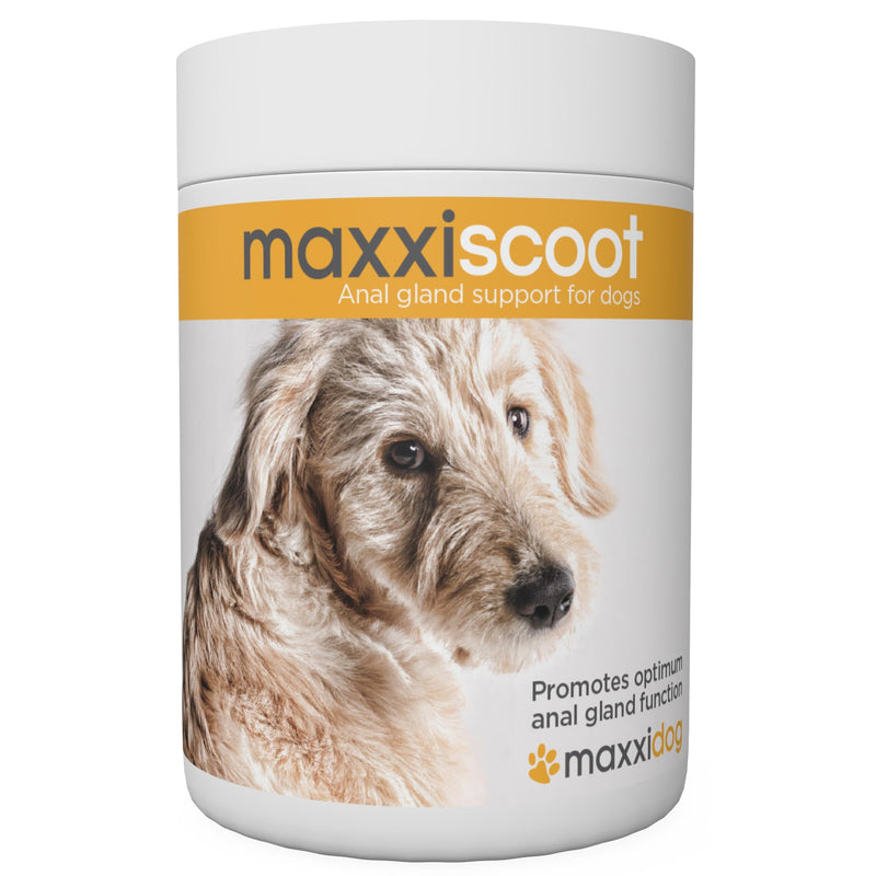 maxxiscoot Anal Gland & Digestive Health Support for Dogs - Powder Supplement, 5oz - PawsPlanet Australia