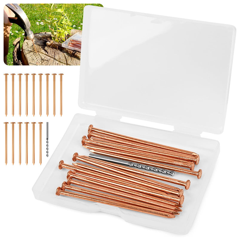 15 pcs Copper Nails for Killing Trees Stump Root Slowly, 3.15" Copper Nails with Drill, Stump Removal Spikes Nails for Trees, Stumps 3.14 " -15PCS