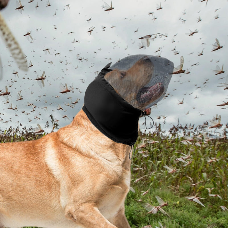 LeongLzt Field Guard Dog Face Guard Head Net Mesh Protector Small - PawsPlanet Australia