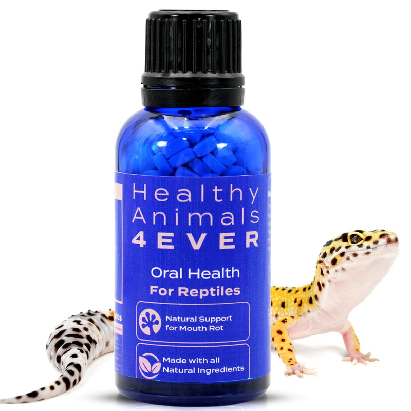 HealthyAnimals4Ever Reptile Oral Health - Natural Support for Mouth Rot, Enhanced Oral Hygiene & Long-Lasting Comfort - Gentle Homeopathic Formula - 300 Count - PawsPlanet Australia