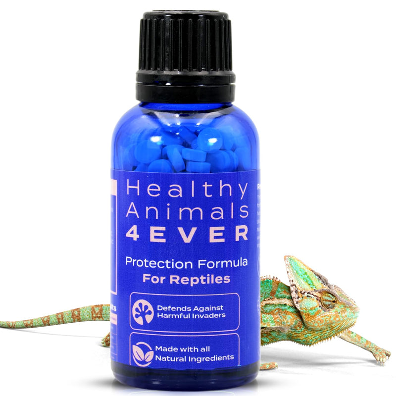 HealthyAnimals4Ever Reptile Protection Formula - Defends Against Internal & External Harmful Invaders, Supports Digestive Health & Vitality - Safe & Gentle Care - 300 Count - PawsPlanet Australia