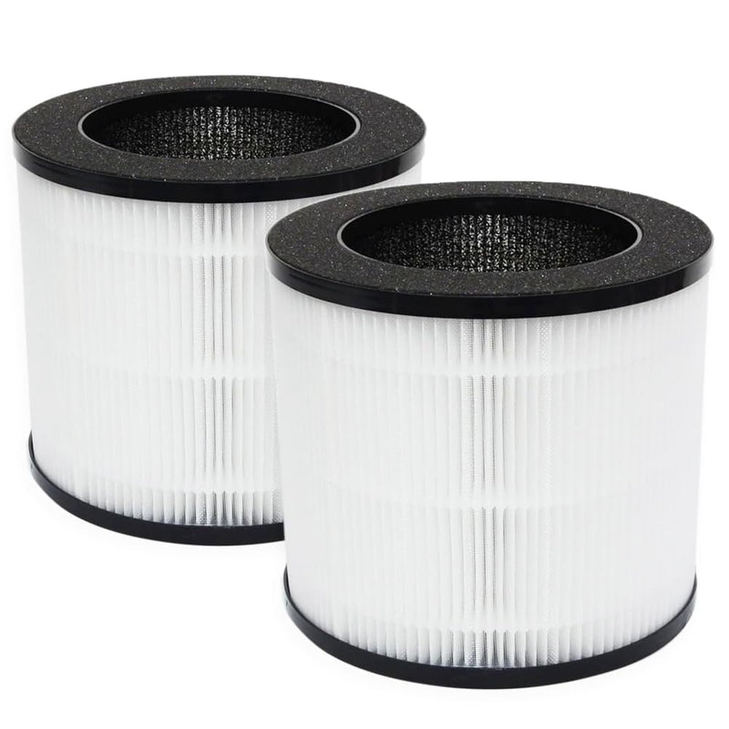 Replacement Air Filter A10 Compatible With GANIZA A10 AIR Purifier,H13 True HEPA Activated Carbon Filter(2-Pack)