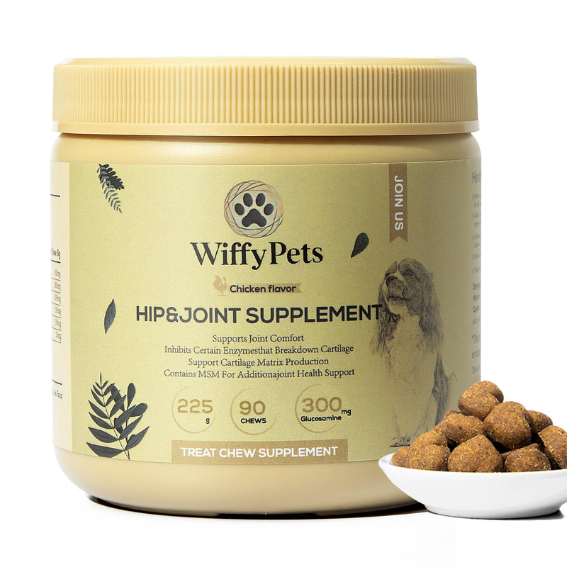Hip and Joint Supplement Dogs with Glucasamine for Dogs, Hip Pain Relief for Small, Medium and Large Breed, Hip and Joint Chews for Dog MSM, Chondroitin 90 Count, Chicken Flavor - PawsPlanet Australia