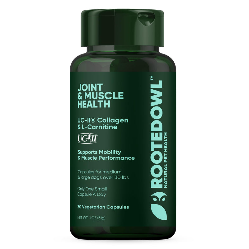 Joint and Muscle Health - Hip and Joint Supplement for Dogs with UC-II Type II Collagen and L-Carnitine - Medium and Large Dog Joint Supplement - 30/ct - PawsPlanet Australia
