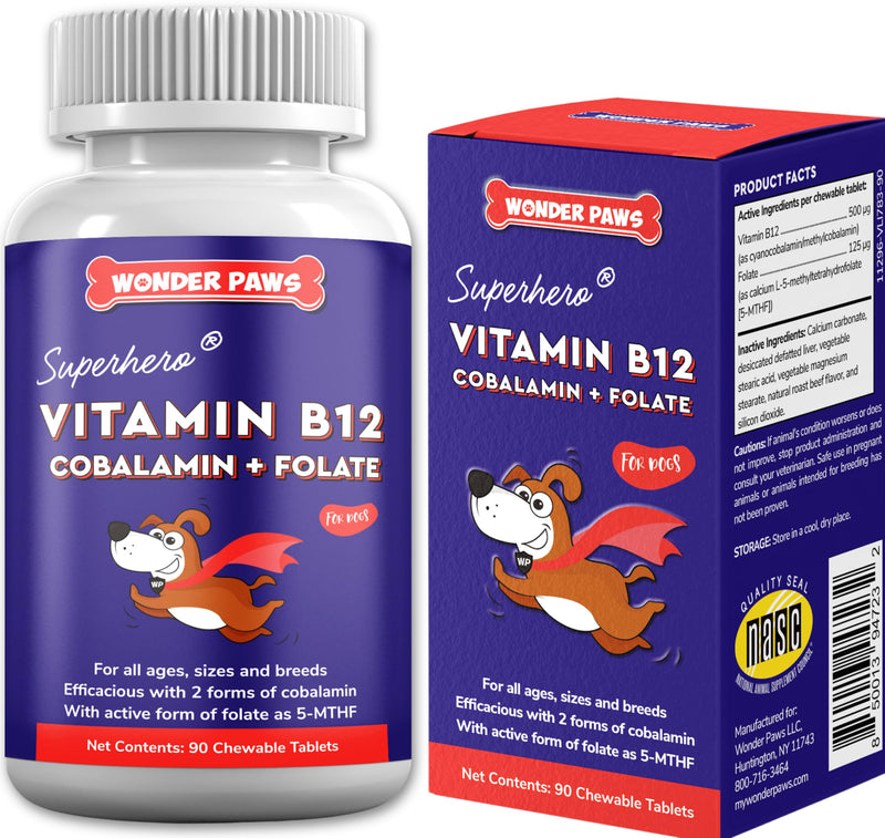 B12 Supplement for Dogs – Vitamin B-12 for Dogs of All Ages, Sizes & Breeds – Vitamin B12 for Dogs as Superior Methylcobalamin, Cobalamin & Folate (5-MTHF) – 90 Beef Flavored Chewables - PawsPlanet Australia