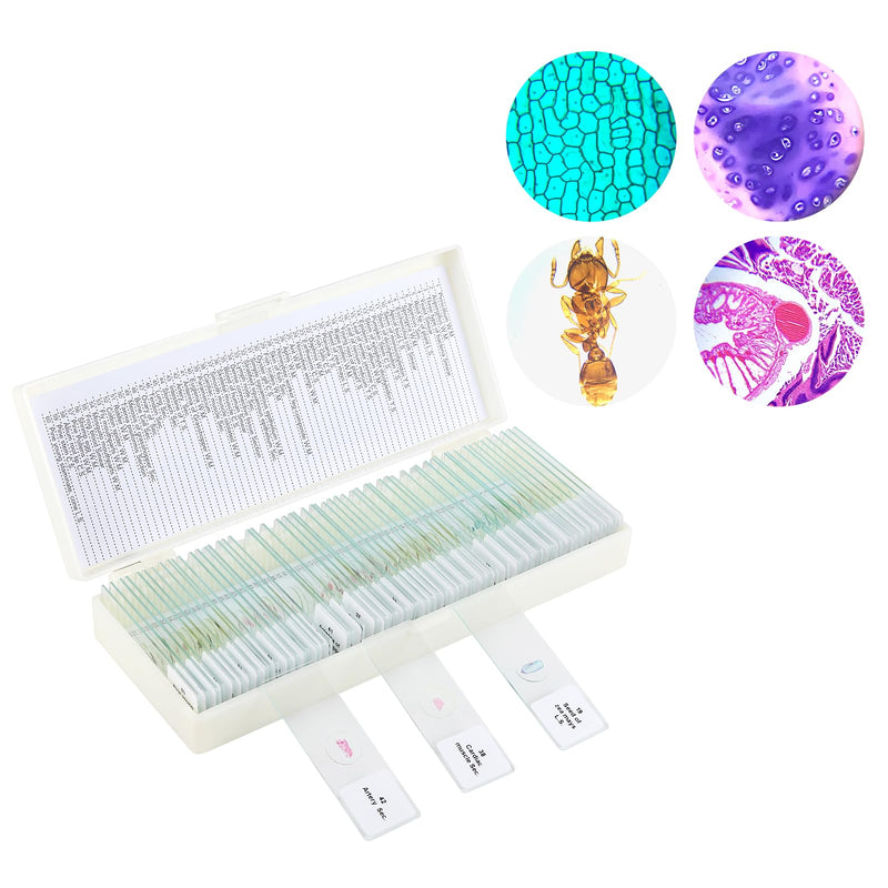 60 Microscope Slides with Specimens,Prepared Microscope Slides for Kids,Glass Slides for Microscope,Prepared Slides for Kids Microscope,Microscope Slide Preparation Kit for Biology Science Classes 60 pcs
