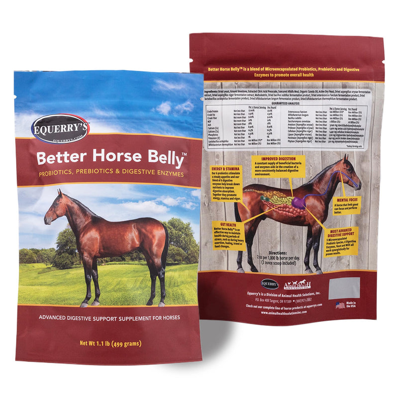 EQUERRY'S Better Horse Belly - Horse Supplement with Gut Support | Horse Probiotics with Prebiotics and Digestive Enzymes | for Colic, Digestive Upset, 1.1LB - PawsPlanet Australia
