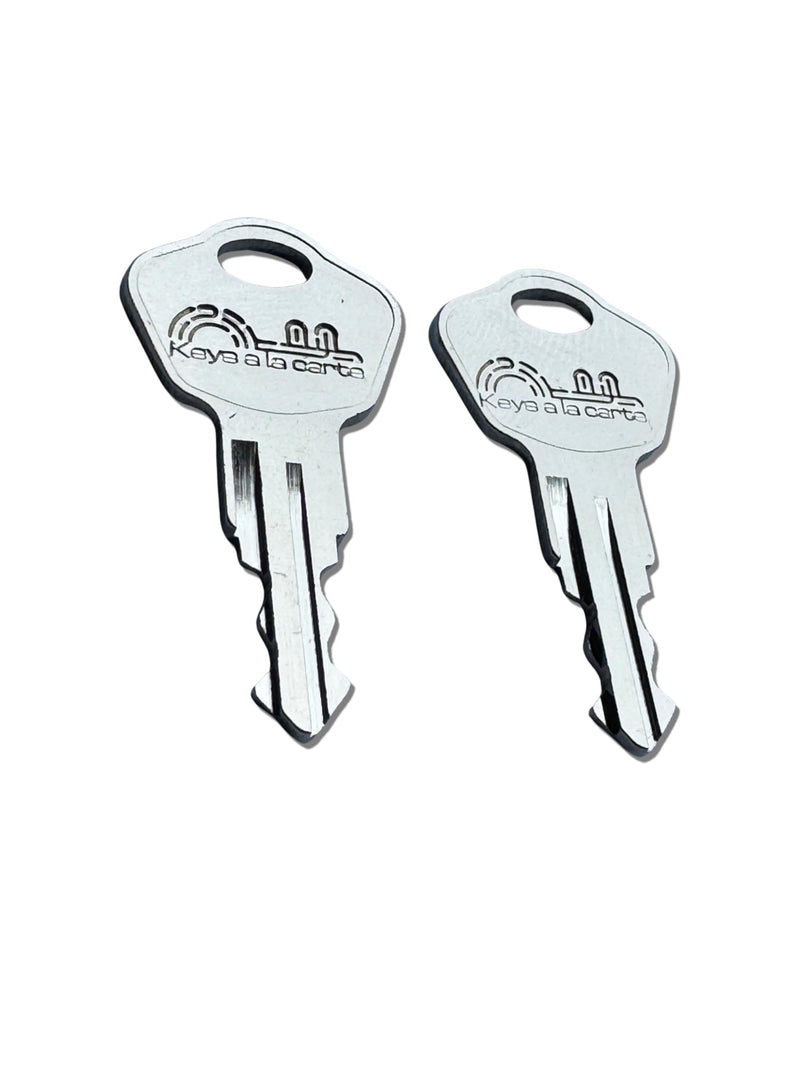 Pair of Replacement Keys for Sentry Safe Lock Boxes, Fire Chests, Fire Files, & Fire/Water Files – Cut to Code 3C2