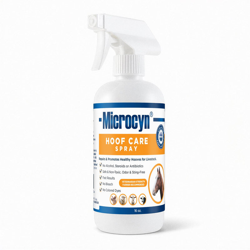 Microcyn Livestock Hoof Care Spray – 16 oz HOCl-Based Hoof Cleanser – Supports Healthy Hoof Condition & Moisture Balance – For Horses, Ponies, Donkeys & Farm Animals.