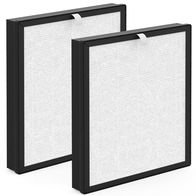 JH-028A JH-028A-F Filter Replacement, Compatible with BlueDate JH-028A Purifier, 3 -in-1 Filtration System, 2 Pack