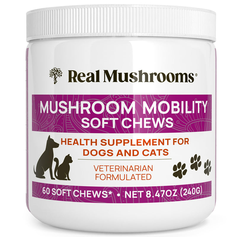 Real Mushrooms Mobility Chews - Hip and Joint Supplement for Dogs and Cats - Green Lipped Mussel Powder and Organic Ergo Gold Vitamins for Flexibility, Mobility, Hip and Joint Support (240 ct) - PawsPlanet Australia