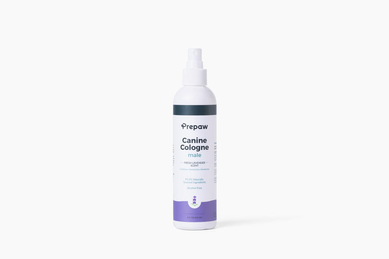 Natural Female Pet Cologne - Powdery Floral Scent, 3-in-1 Deodorizing, Conditioning & Moisturizing Spray for Dogs & Cats - Long Lasting Fragrance, Gentle on Skin, Perfect for Daily Use, 8 fl oz - PawsPlanet Australia