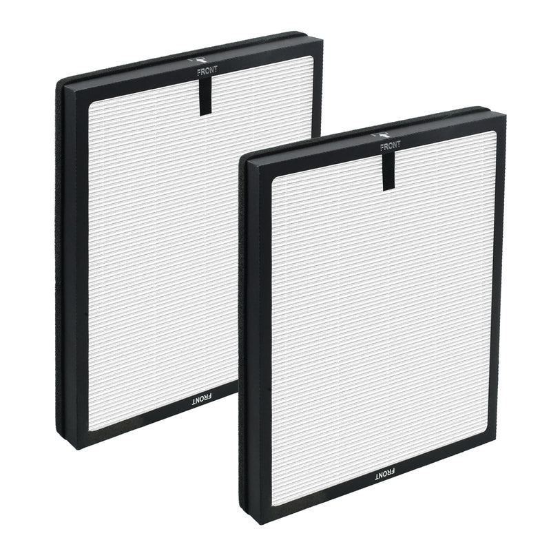2 Pack Replacement Filter Fit for ECOSELF HAP603 Air Purifier White HAP603*2