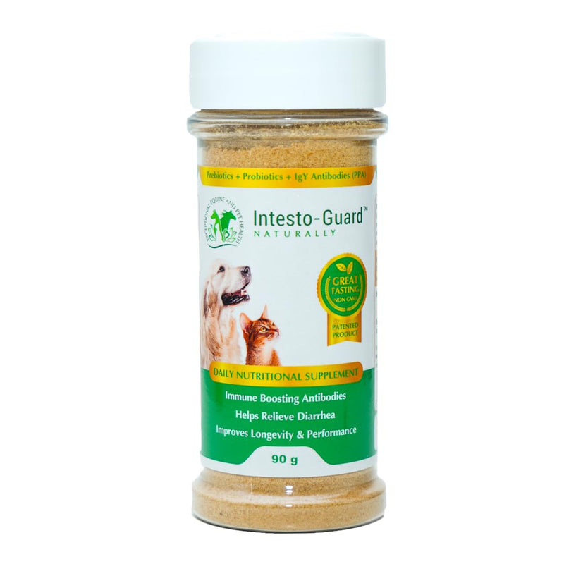 Powder Probiotic for Dogs, Prebiotic for Puppies, No Animal By-Products, 2-Gram Scoop Contains 1.5 Billion, Digestive Health, Gut Support, Immune Boost, Vet-Formulated for Maximum Potency – 90G Bottle