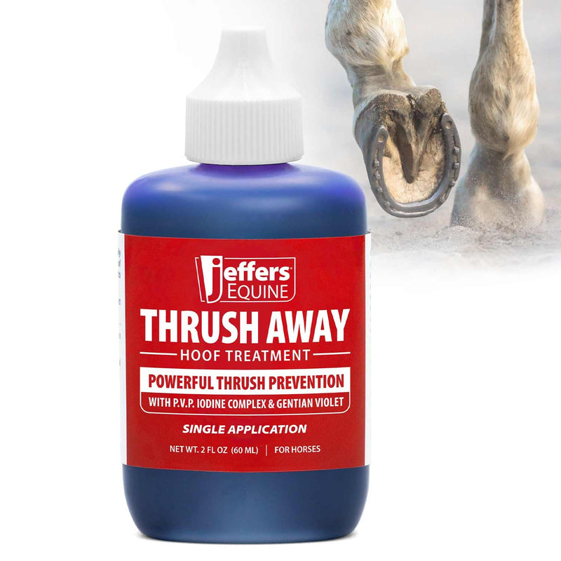Jeffers Equine Thrush Away 2 Oz Iodine Hoof Solution for Horses – White Line, Frog, Pads, Farrier, Grooming, Stable, Ranch, Farm – Easy Application Hoof Care for Wet & Dry Conditions - NewNest Australia