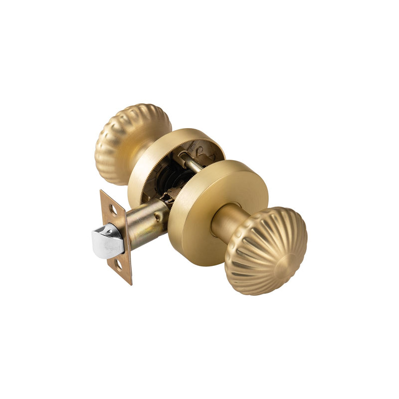 Gold Interior Door Knobs, Non Locking Door Knob Door Handles for Hall & Closet, Passage Seashell Knobs