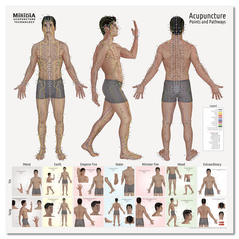 Miridia Acupuncture Chart - Huge Laminated Anatomical TCM Meridian & Points Poster - Clinic/Study Use - Accurate Acupuncture Point Chart - Clear Labels - Comprehensive Meridian System - 36x36, Male 36"L x 36"W