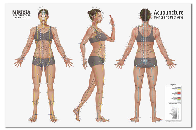 Miridia Acupuncture Chart - Huge Laminated Anatomical TCM Meridian & Points Poster - Clinic/Study Use - Accurate Acupuncture Point Chart - Clear Labels - Comprehensive Meridian System - 36x24, Female