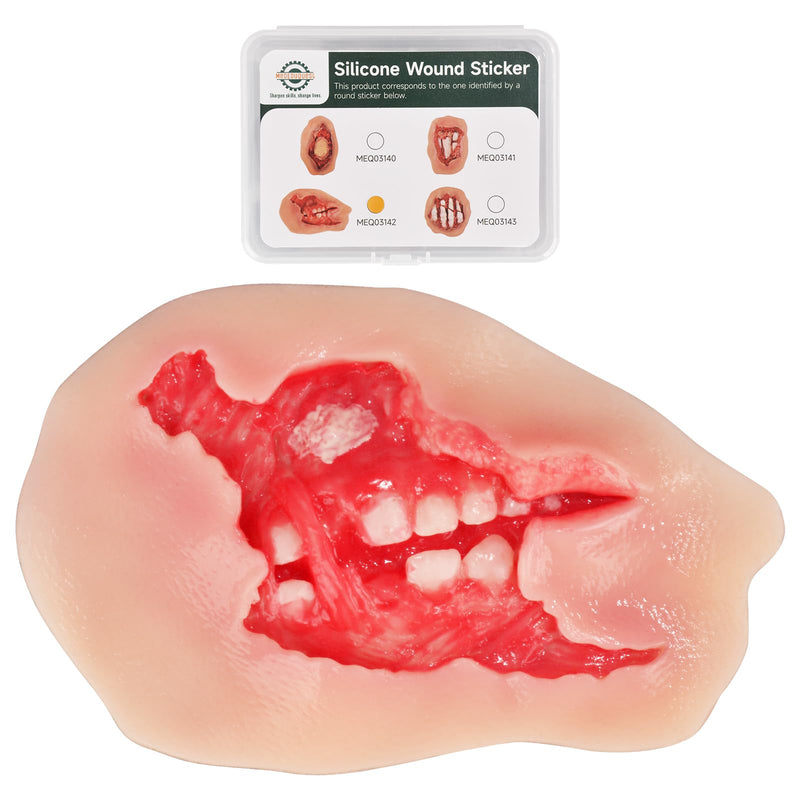 Adhesive Maxillofacial Wound Care Trainer, Exposed Denture Avulsion Simulator, Oral Trauma Simulation, Oral Injury Wound Model for Emergency Care Training