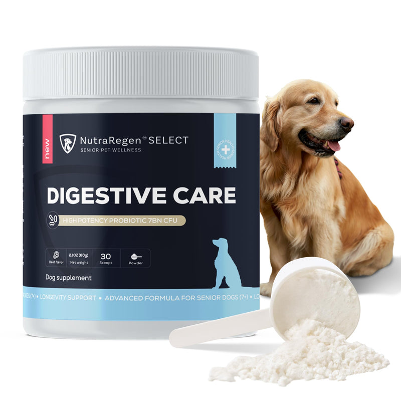 Nutraregen Digestive Dog Probiotic Powder 30 Scoops | Beef Flavored Dog Probiotics for Digestive Health, Supports Gut Health, Scratching, Itchy & Dry Skin, Allergies 2.1 Oz | 7 Bn CFU