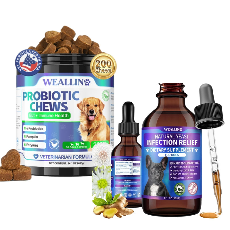 WEALLIN Dog Probiotic Chews + Yeast Infection Relief Drops Bundle – Gut & Yeast Balance Support | Promotes Healthy Digestion, Skin & Ear Wellness