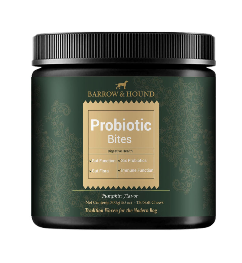 Barrow & Hound Probiotic Bites for Dogs – 6-Strain Probiotics & Pumpkin for Gut Health & Immune Support – 120 Soft Chews – Pumpkin Flavor